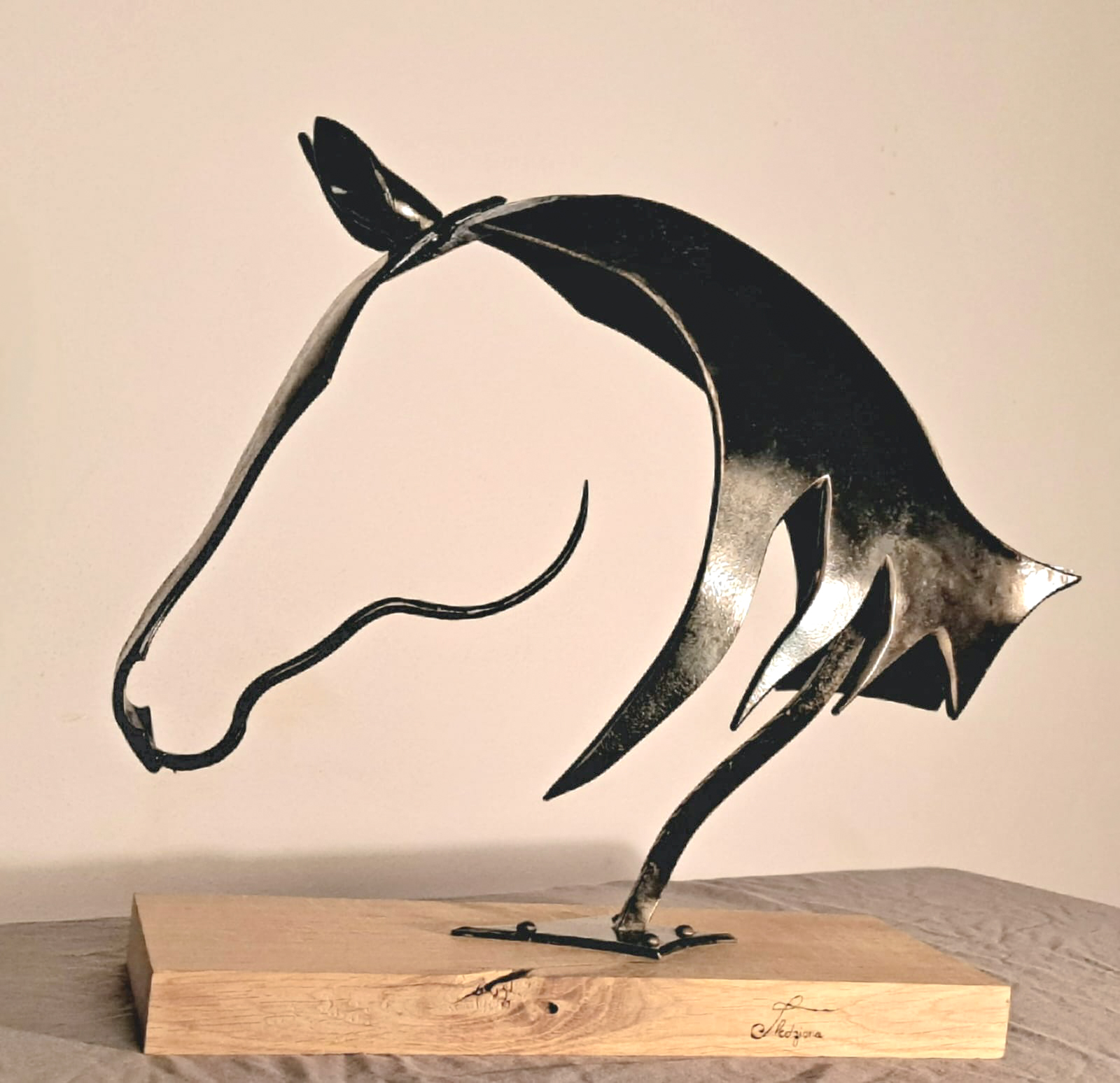 7ECC1B65 8A6F 478E 9088 2943B5EB8234_1_201_A | Forge et Art Shakopee Saint-Louis 0