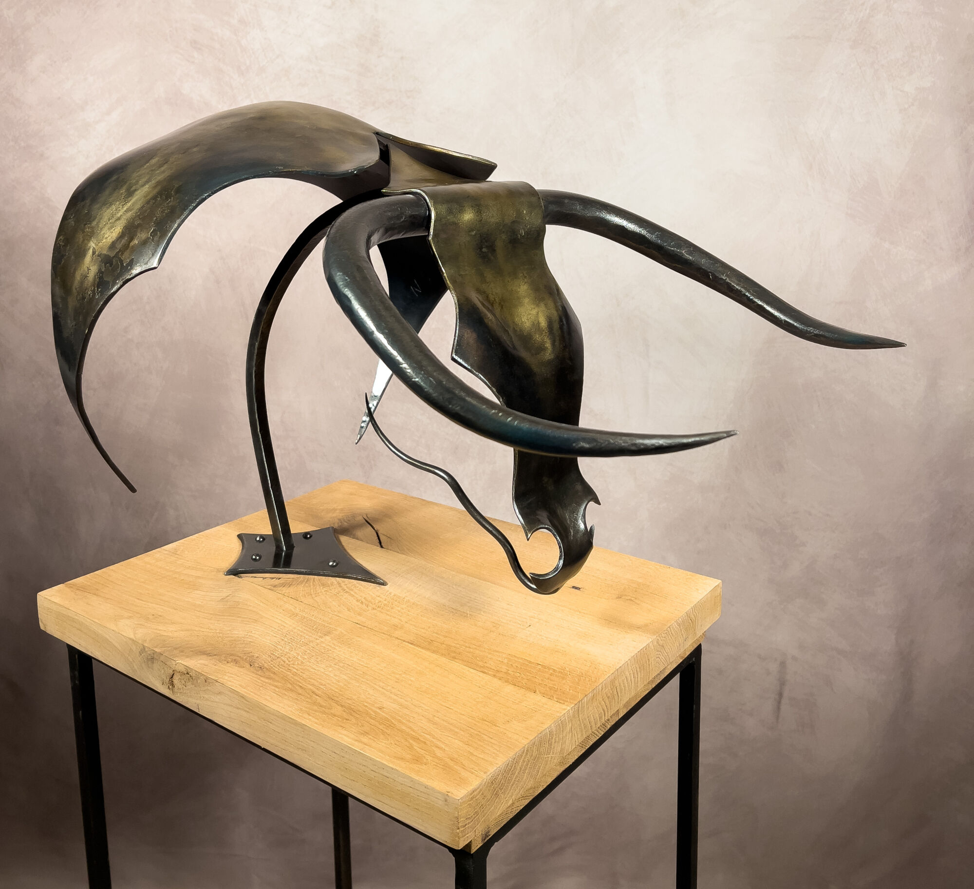 BRABUS1 | Forge et Art Brabus Illzach 0