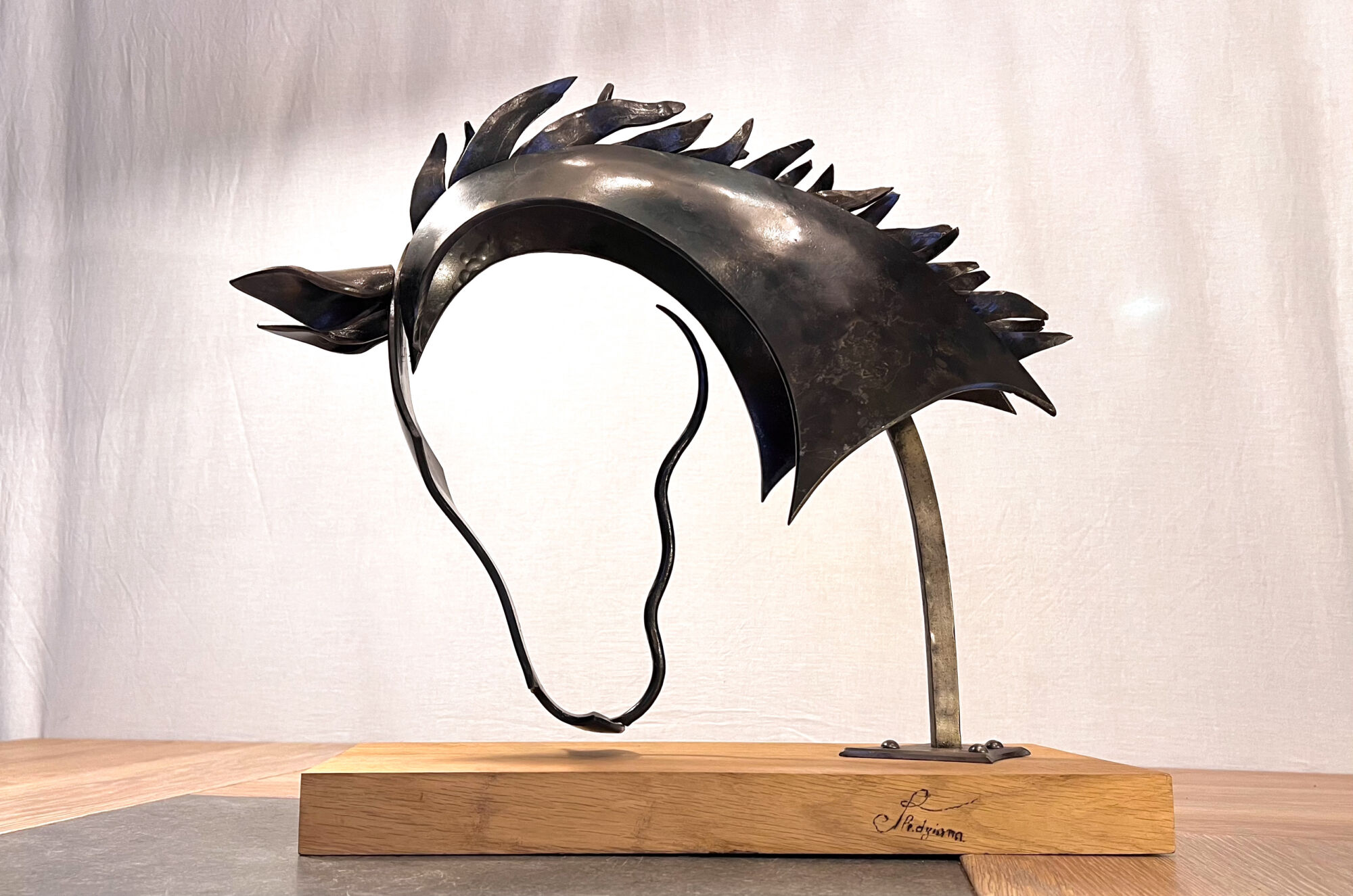 D77FC5EE B559 4076 9A5B 9ECBFFD38483_1_201_A | Forge et Art Everest Saint-Louis 0