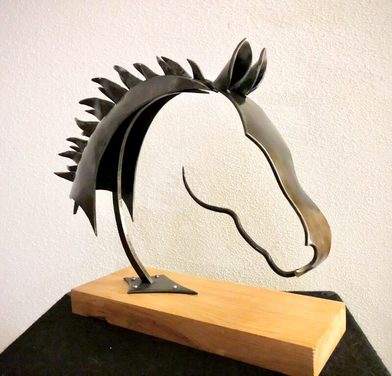 DFF6CABC AF2B 4BAD A95C 1E4D528BA906_1_105_C 800X768 | Forge et Art Photos page d’accueil Rixheim 2