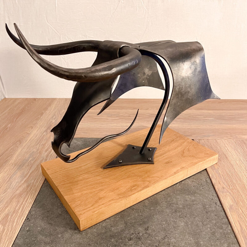 IMG_1826 800X800 | Forge et Art Photos page d’accueil Illzach 3