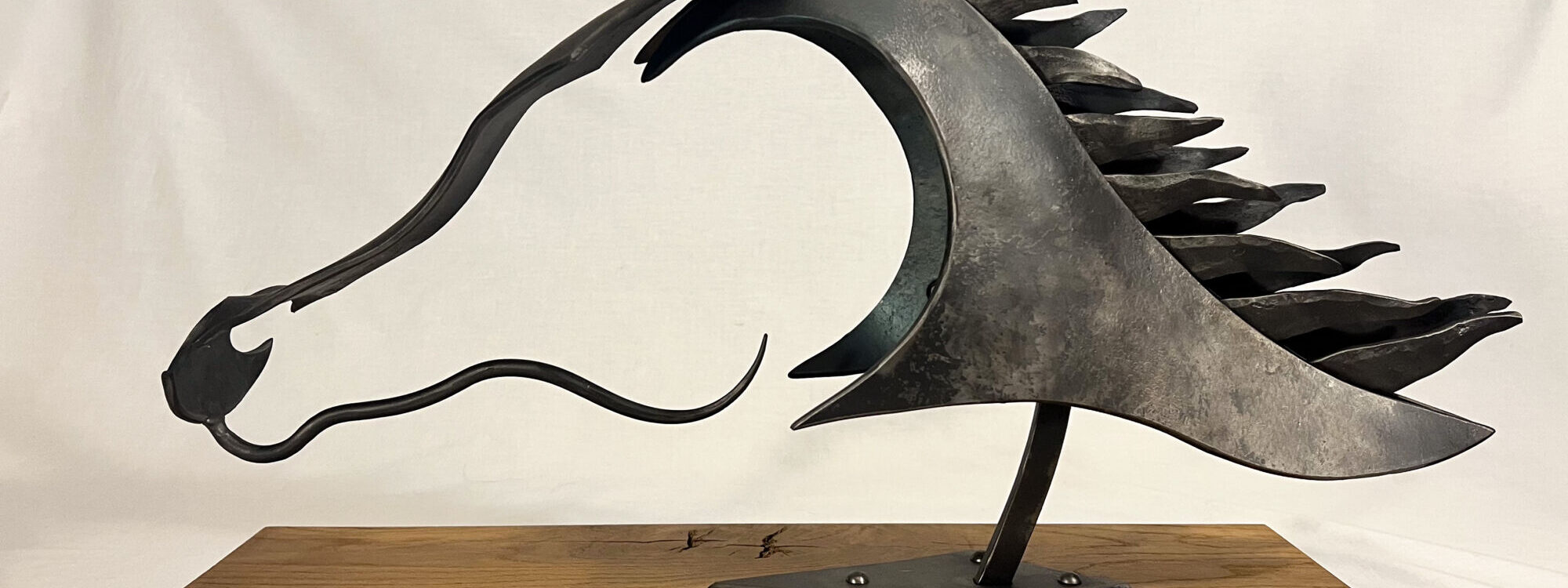 IMG_2217 2000X750 | Forge et Art Brouillard Riedisheim